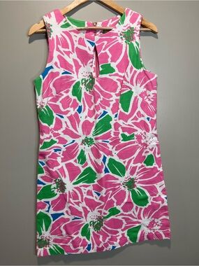 Taylor Pink & Green Floral Sleeveless Dress